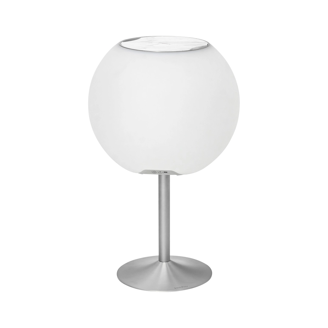 Ensemble Sphère en argent brossé